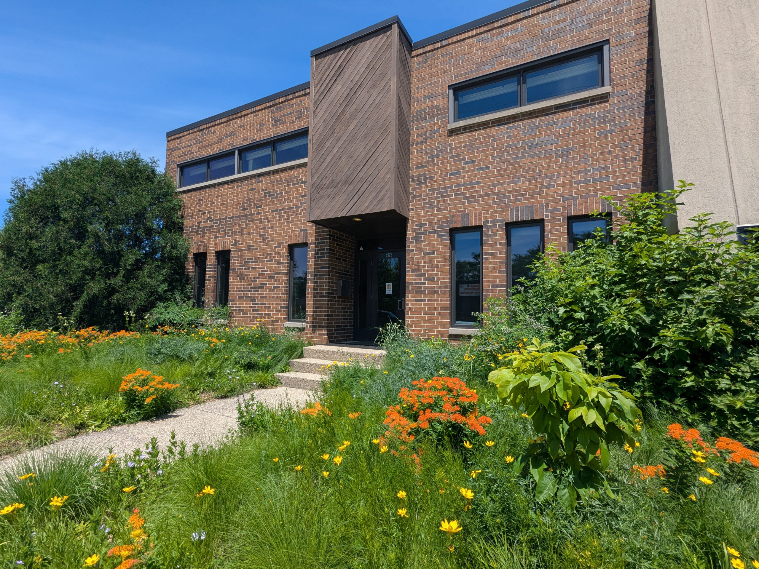 Living Habitats - Office Front Yard